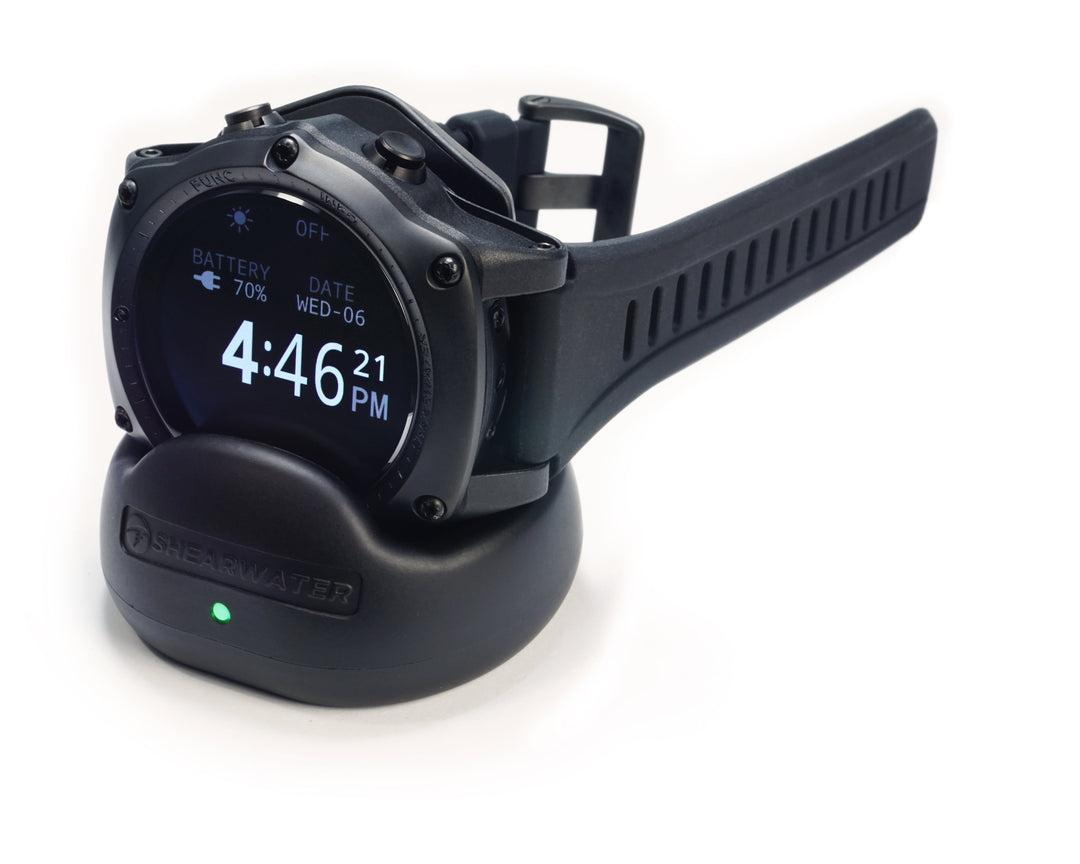 Teric Dive Watch